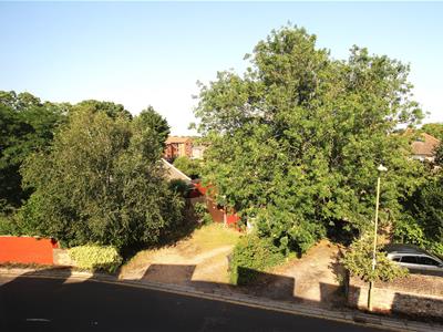 Picture 7